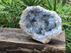 Natural Large Blue Celestite Geode Specimen x 1 From Sakoany, Madagascar - Toprock Gemstones and Minerals 