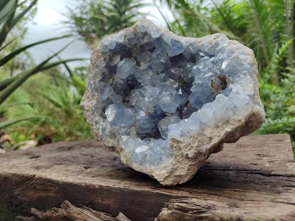Natural Large Blue Celestite Geode Specimen x 1 From Sakoany, Madagascar - Toprock Gemstones and Minerals 