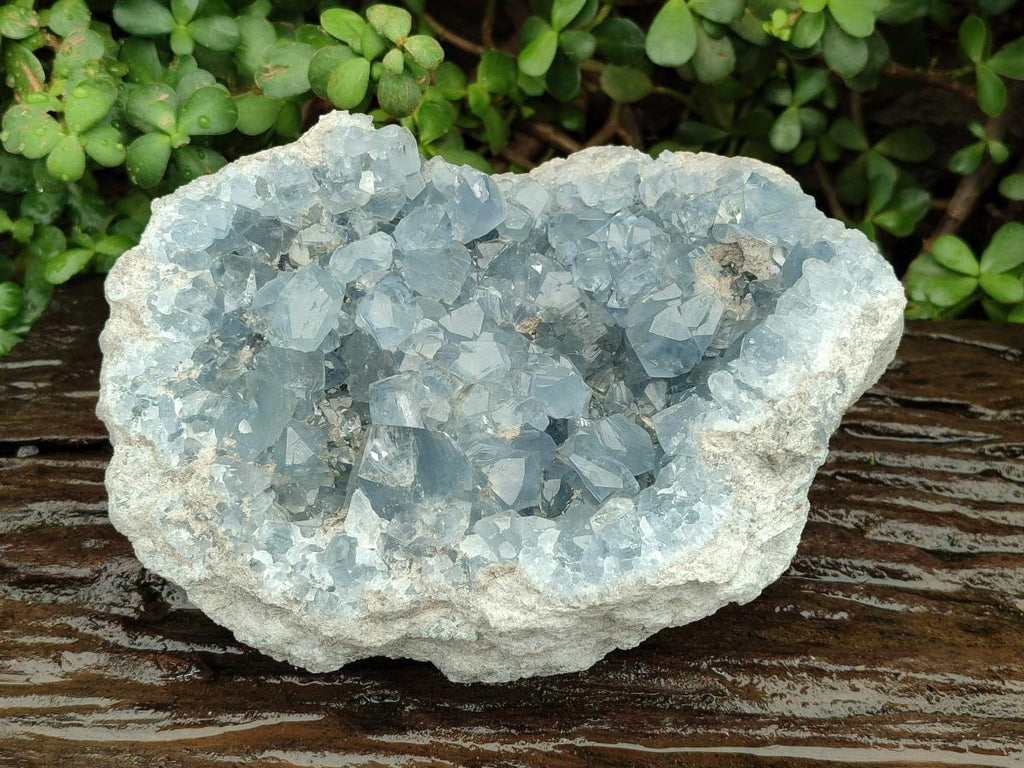 Natural Large Blue Celestite Geode Specimen x 1 From Sakoany, Madagascar - Toprock Gemstones and Minerals 