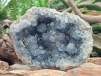 Natural Large Blue Celestite Geode Specimen x 1 From Sakoany, Madagascar - Toprock Gemstones and Minerals 