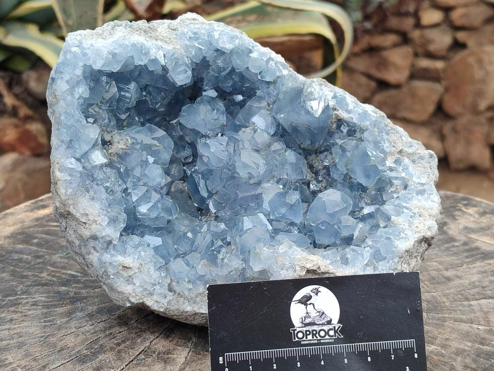 Natural Large Blue Celestite Geode Specimen x 1 From Sakoany, Madagascar - Toprock Gemstones and Minerals 