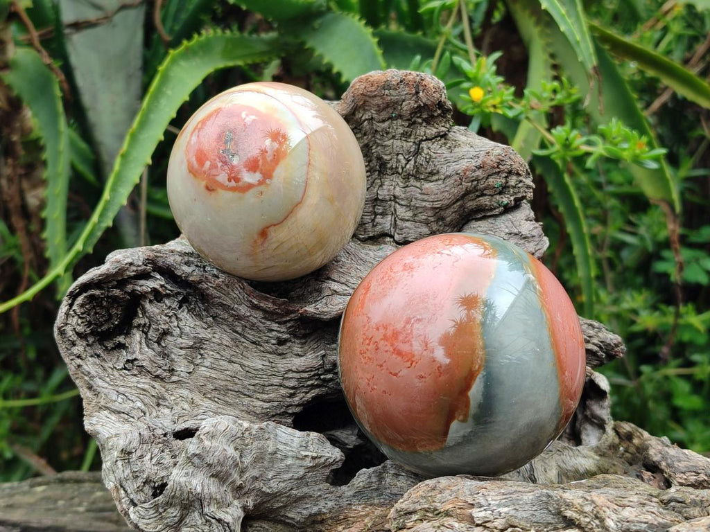 Polished Polychrome Jasper Spheres x 4 From NW Coast, Madagascar - Toprock Gemstones and Minerals 