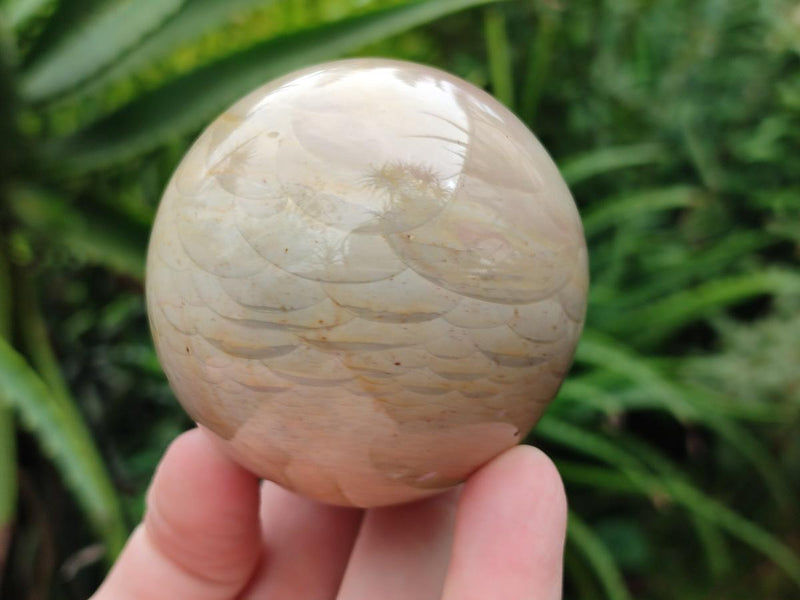 Polished Polychrome Jasper Spheres x 4 From NW Coast, Madagascar - Toprock Gemstones and Minerals 
