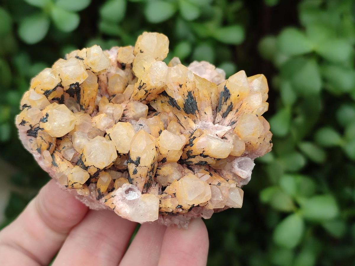 Natural Mixed Quartz Crystals and Clusters x 15 From Madagascar - Toprock Gemstones and Minerals 