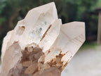 Natural Mixed Quartz Crystals and Clusters x 15 From Madagascar - Toprock Gemstones and Minerals 