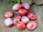 Polished Carnelian Agate Gemstone Galets x 35 From Madagascar - Toprock Gemstones and Minerals 