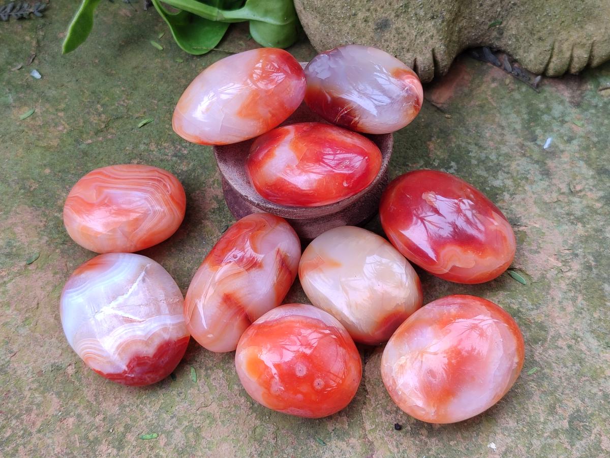 Polished Carnelian Agate Gemstone Galets x 35 From Madagascar - Toprock Gemstones and Minerals 