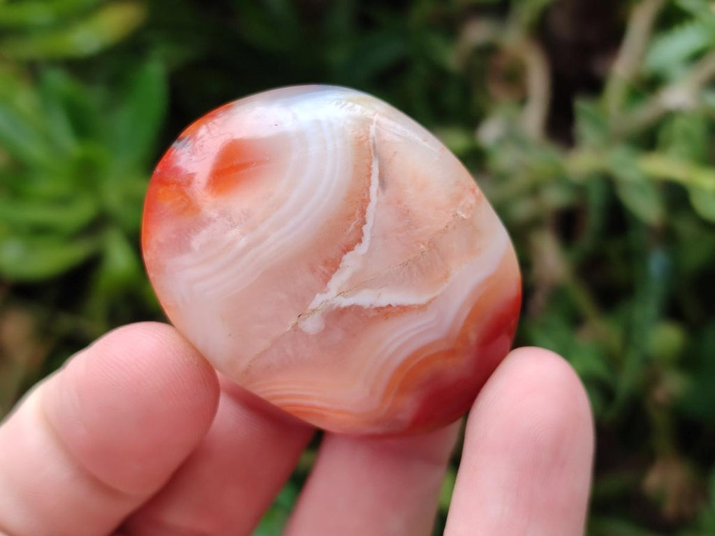 Polished Carnelian Agate Gemstone Galets x 35 From Madagascar - Toprock Gemstones and Minerals 