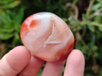 Polished Carnelian Agate Gemstone Galets x 35 From Madagascar - Toprock Gemstones and Minerals 