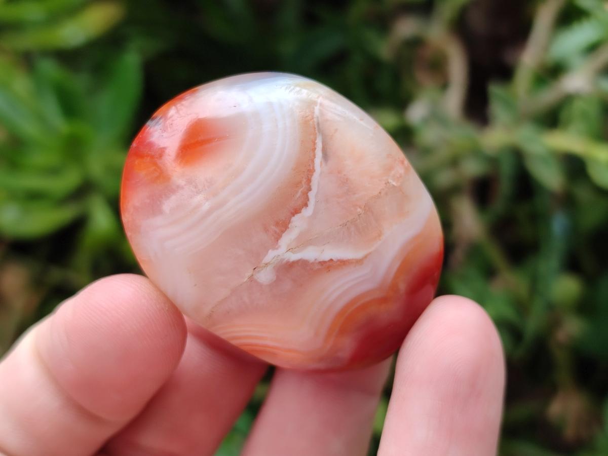 Polished Carnelian Agate Gemstone Galets x 35 From Madagascar - Toprock Gemstones and Minerals 
