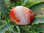 Polished Carnelian Agate Gemstone Galets x 35 From Madagascar - Toprock Gemstones and Minerals 