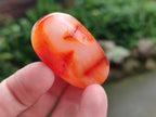 Polished Carnelian Agate Gemstone Galets x 35 From Madagascar - Toprock Gemstones and Minerals 