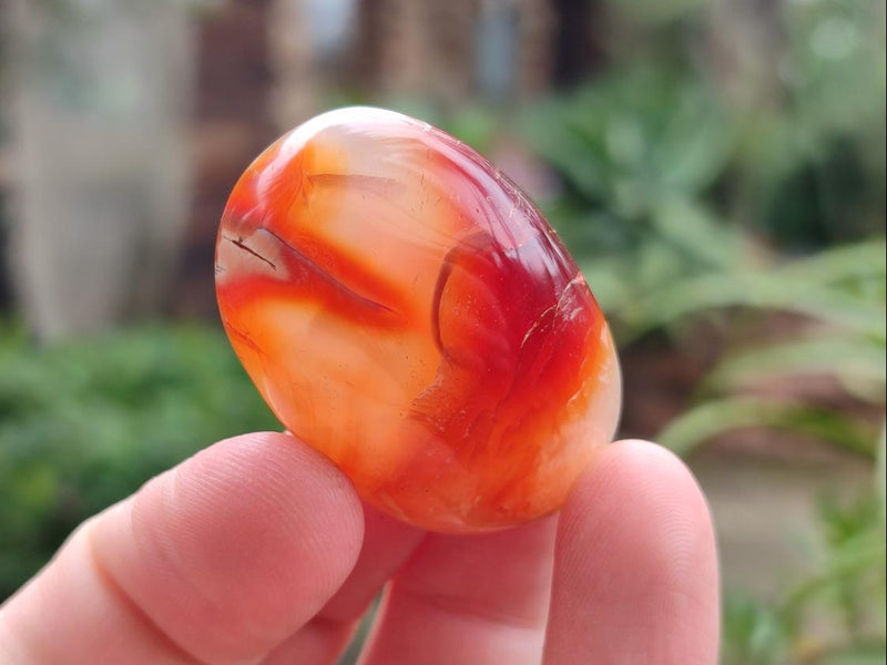 Polished Carnelian Agate Gemstone Galets x 35 From Madagascar - Toprock Gemstones and Minerals 