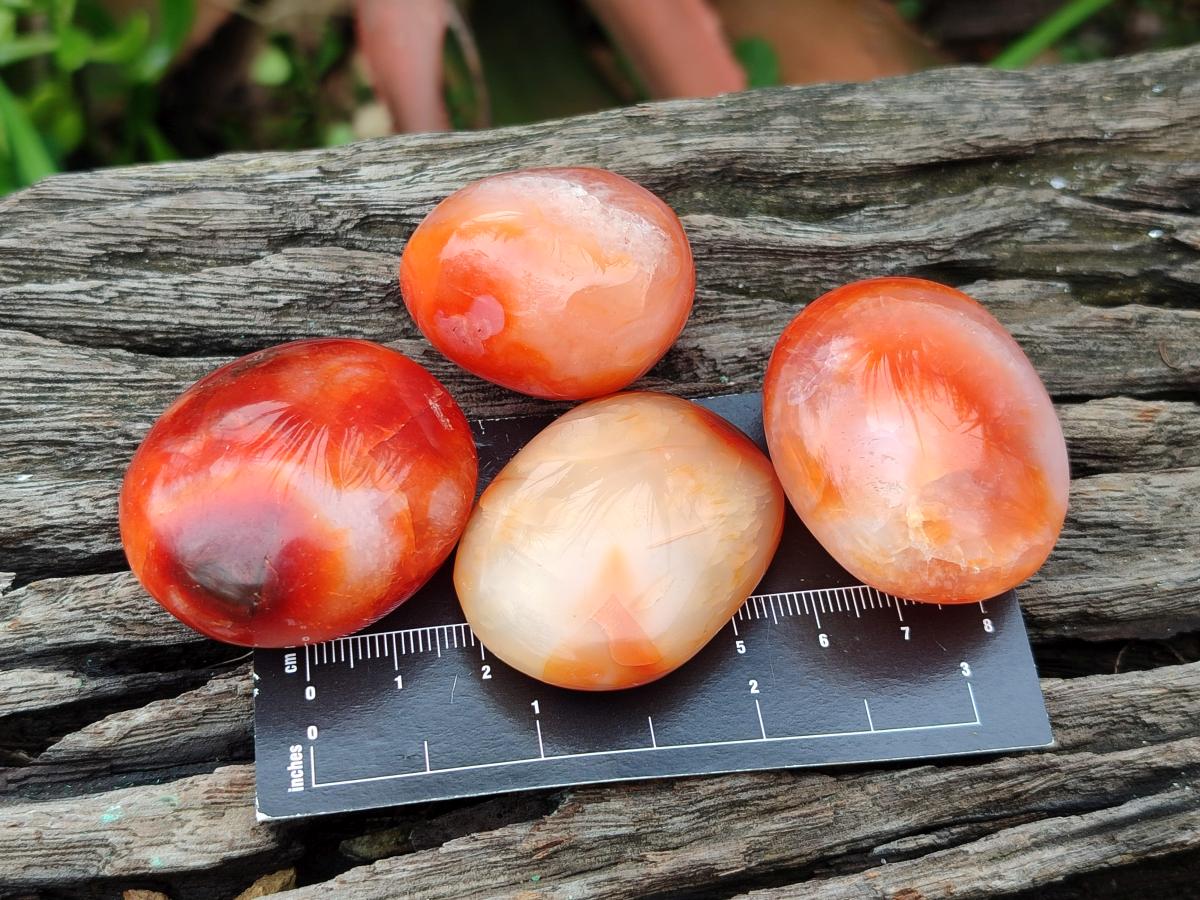 Polished Carnelian Agate Gemstone Galets x 35 From Madagascar - Toprock Gemstones and Minerals 