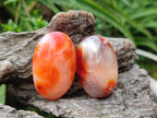 Polished Carnelian Agate Gemstone Galets x 35 From Madagascar - Toprock Gemstones and Minerals 