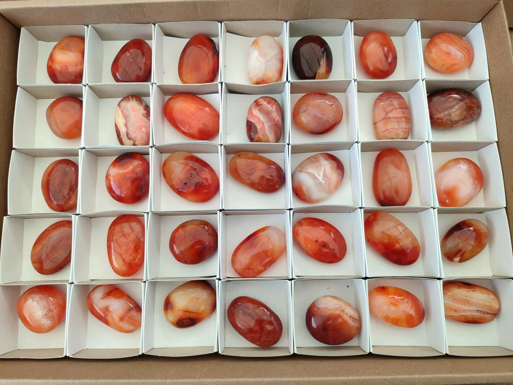 Polished Carnelian Agate Gemstone Galets x 35 From Madagascar - Toprock Gemstones and Minerals 