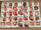 Polished Carnelian Agate Gemstone Galets x 35 From Madagascar - Toprock Gemstones and Minerals 
