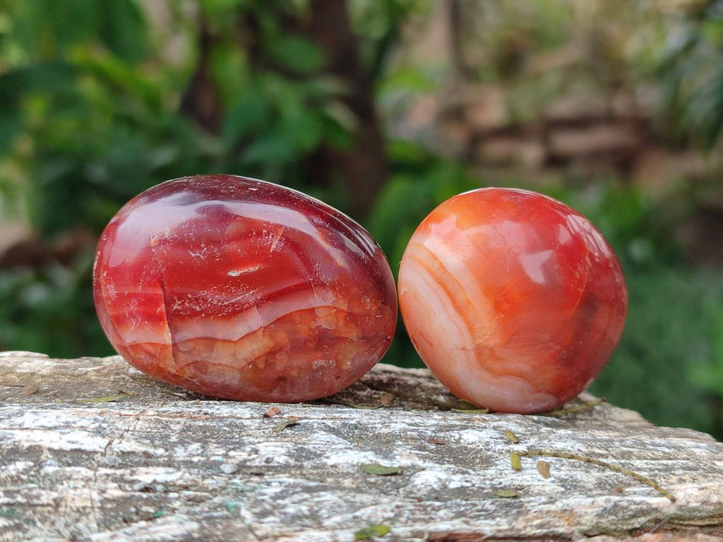 Polished Carnelian Agate Gemstone Galets x 35 From Madagascar - Toprock Gemstones and Minerals 