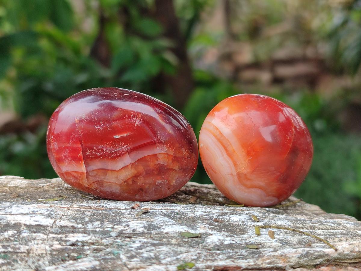 Polished Carnelian Agate Gemstone Galets x 35 From Madagascar - Toprock Gemstones and Minerals 