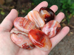 Polished Carnelian Agate Gemstone Galets x 35 From Madagascar - Toprock Gemstones and Minerals 