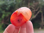 Polished Carnelian Agate Gemstone Galets x 35 From Madagascar - Toprock Gemstones and Minerals 