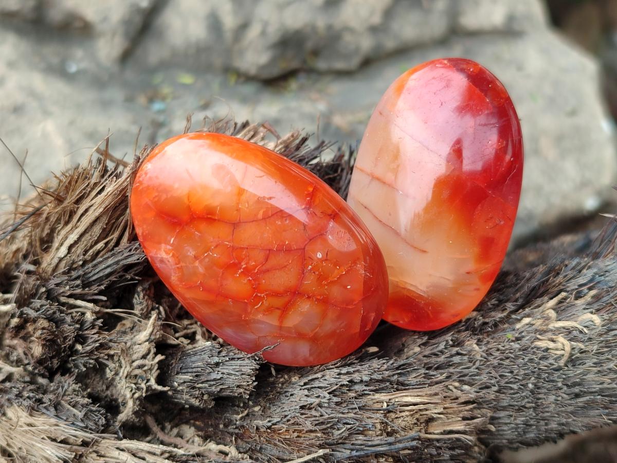 Polished Carnelian Agate Gemstone Galets x 35 From Madagascar - Toprock Gemstones and Minerals 