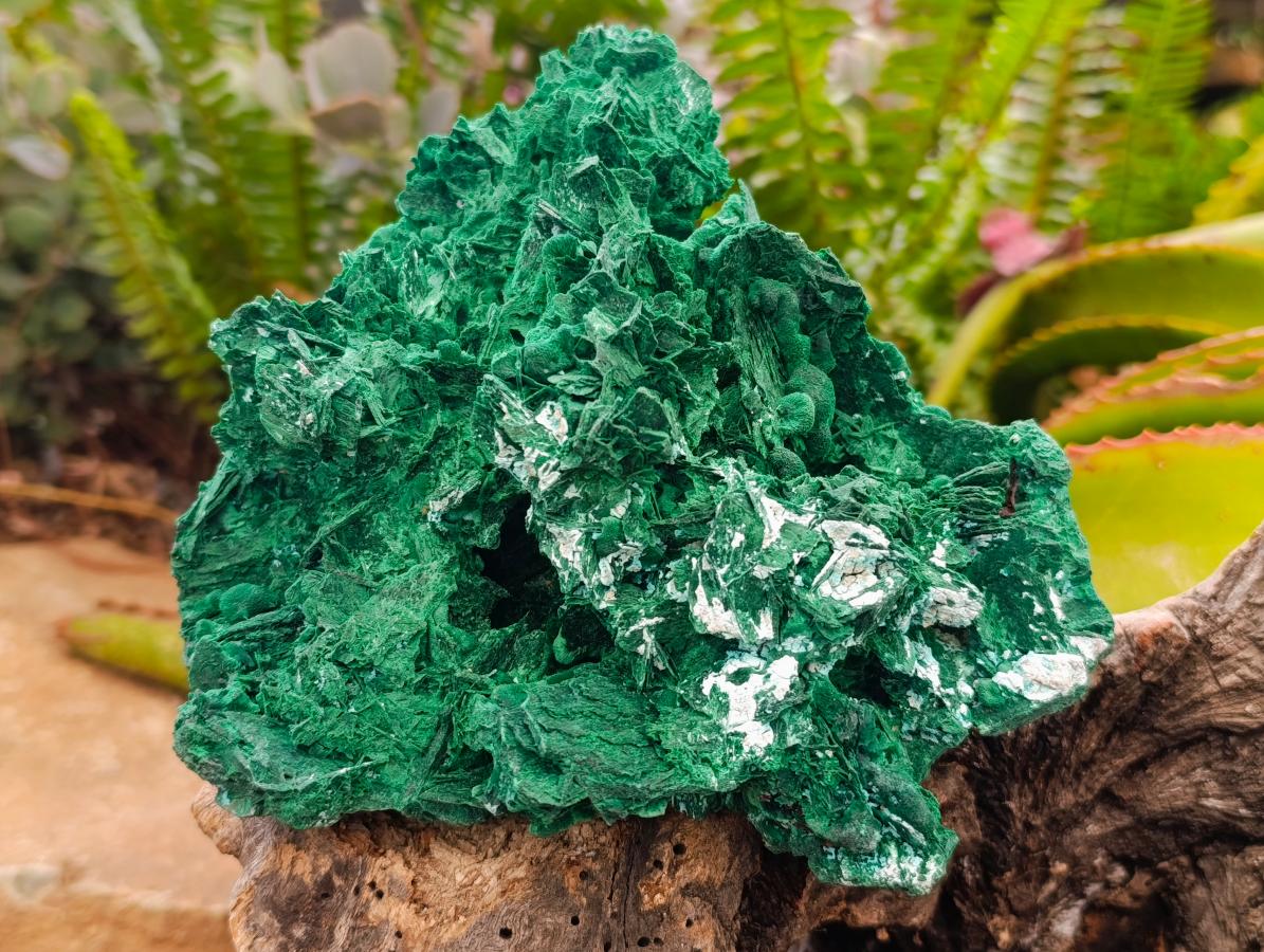 Natural Large Rare Malachite Pseudomorph Specimen x 1 From Kolwezi, Congo - Toprock Gemstones and Minerals 