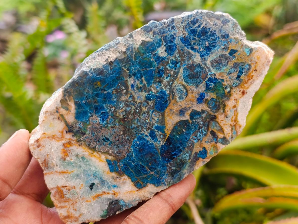 Polished One Side Shattuckite Slices x 6 From Kaokoveld, Namibia - Toprock Gemstones and Minerals 