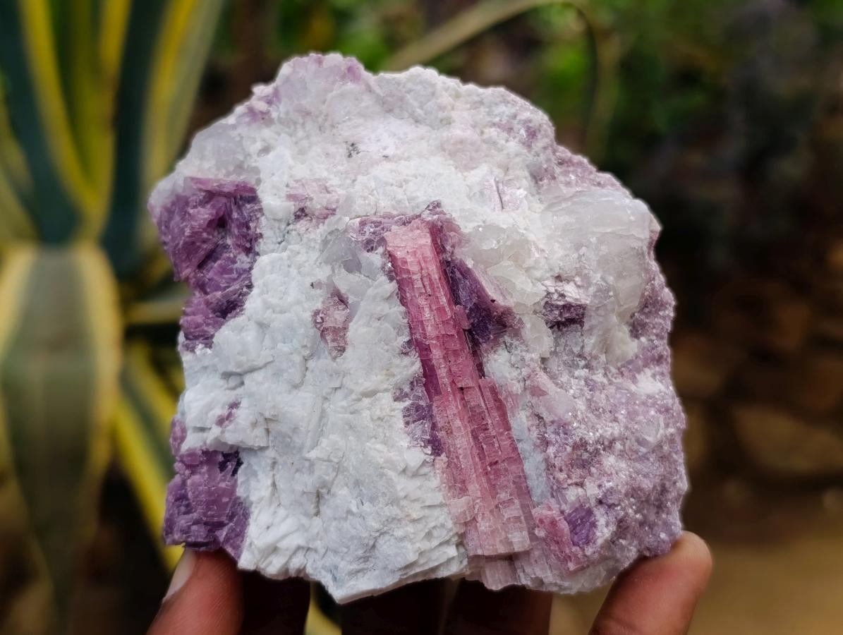Natural Pink Rubellite Tourmaline Specimens x 2 From Karibib, Namibia - Toprock Gemstones and Minerals 