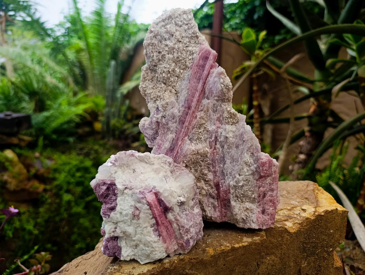 Natural Pink Rubellite Tourmaline Specimens x 2 From Karibib, Namibia - Toprock Gemstones and Minerals 