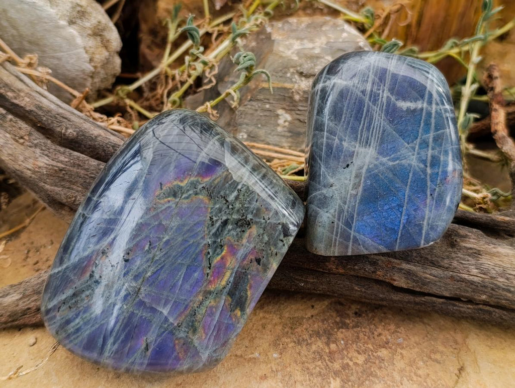 Polished Rare Purple Sunset Flash Labradorite Standing Free Forms x 3 From Madagascar - Toprock Gemstones and Minerals 