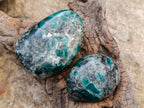 Polished Emerald Mica 'Mutokolite' Palm Stones x 6 From Mutoko, Zimbabwe - Toprock Gemstones and Minerals 