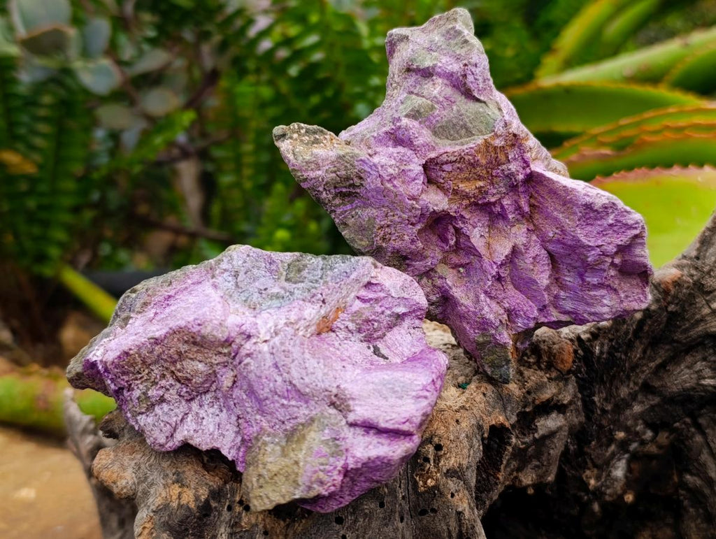 Natural Stichtite Cobbed Specimens x 12 From Barberton, South Africa - Toprock Gemstones and Minerals 