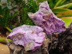 Natural Stichtite Cobbed Specimens x 12 From Barberton, South Africa - Toprock Gemstones and Minerals 