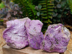 Natural Stichtite Cobbed Specimens x 12 From Barberton, South Africa - Toprock Gemstones and Minerals 