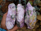 Natural Stichtite Cobbed Specimens x 12 From Barberton, South Africa - Toprock Gemstones and Minerals 