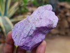 Natural Stichtite Cobbed Specimens x 12 From Barberton, South Africa - Toprock Gemstones and Minerals 