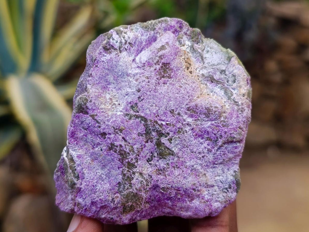 Natural Stichtite Cobbed Specimens x 12 From Barberton, South Africa - Toprock Gemstones and Minerals 