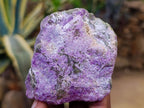 Natural Stichtite Cobbed Specimens x 12 From Barberton, South Africa - Toprock Gemstones and Minerals 
