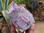 Natural Stichtite Cobbed Specimens x 12 From Barberton, South Africa - Toprock Gemstones and Minerals 