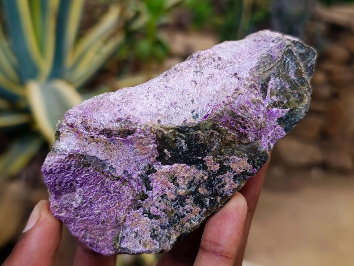 Natural Stichtite Cobbed Specimens x 12 From Barberton, South Africa - Toprock Gemstones and Minerals 