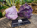 Natural Stichtite Cobbed Specimens x 12 From Barberton, South Africa - Toprock Gemstones and Minerals 