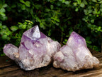 Natural Jacaranda Amethyst Crystal Clusters x 2 From Mumbwa, Zambia - Toprock Gemstones and Minerals 