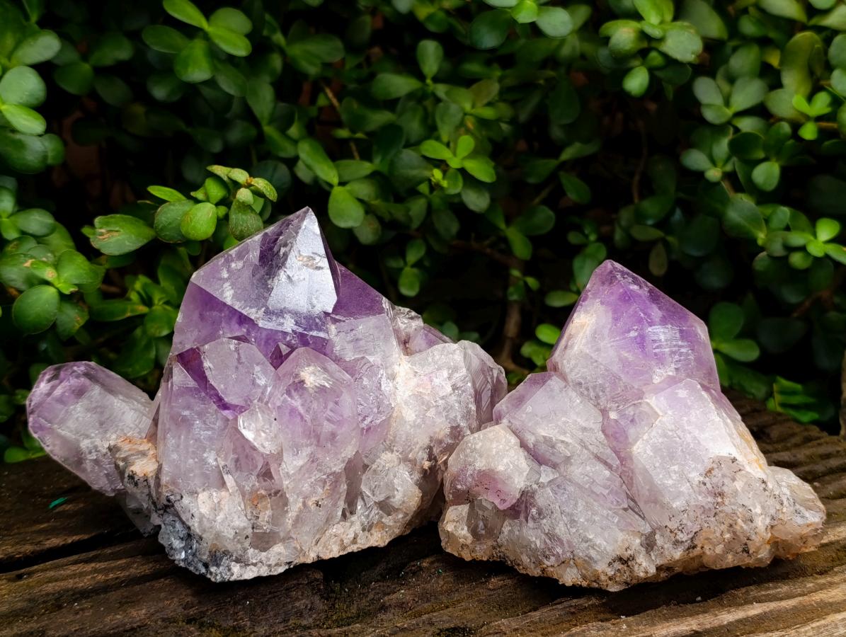 Natural Jacaranda Amethyst Crystal Clusters x 2 From Mumbwa, Zambia - Toprock Gemstones and Minerals 