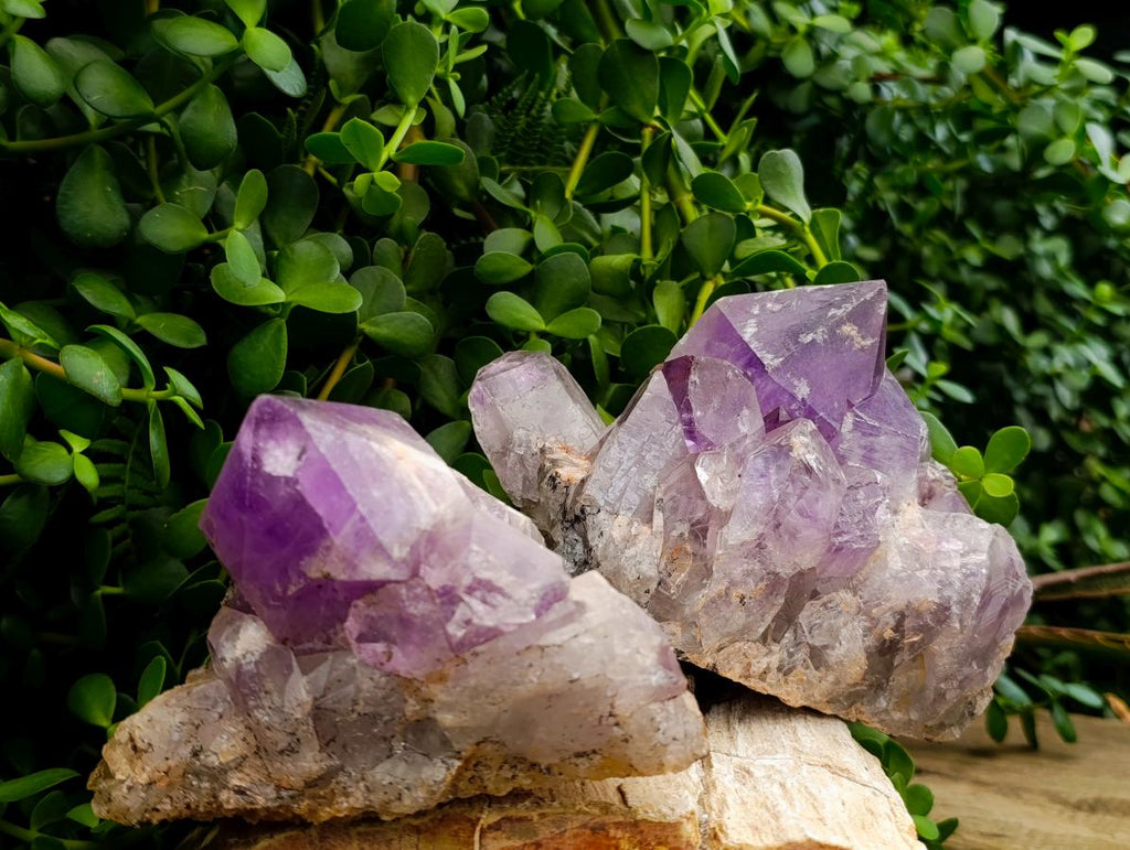 Natural Jacaranda Amethyst Crystal Clusters x 2 From Mumbwa, Zambia - Toprock Gemstones and Minerals 