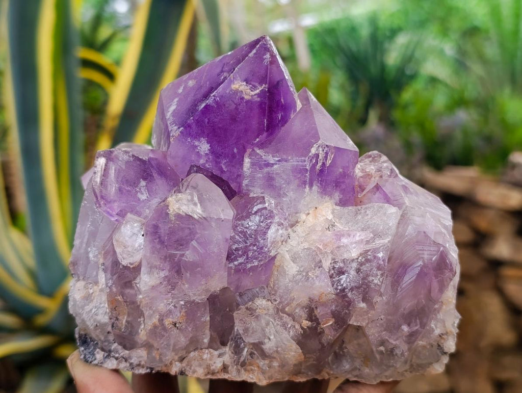 Natural Jacaranda Amethyst Crystal Clusters x 2 From Mumbwa, Zambia - Toprock Gemstones and Minerals 