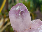 Natural Jacaranda Amethyst Crystal Clusters x 2 From Mumbwa, Zambia - Toprock Gemstones and Minerals 
