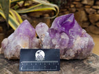 Natural Jacaranda Amethyst Crystal Clusters x 2 From Mumbwa, Zambia - Toprock Gemstones and Minerals 