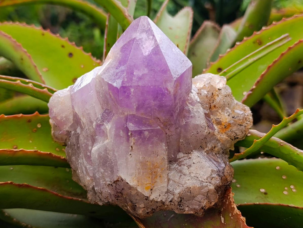 Natural Jacaranda Amethyst Crystal Clusters x 2 From Mumbwa, Zambia - Toprock Gemstones and Minerals 