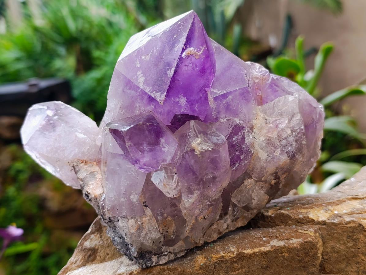 Natural Jacaranda Amethyst Crystal Clusters x 2 From Mumbwa, Zambia - Toprock Gemstones and Minerals 